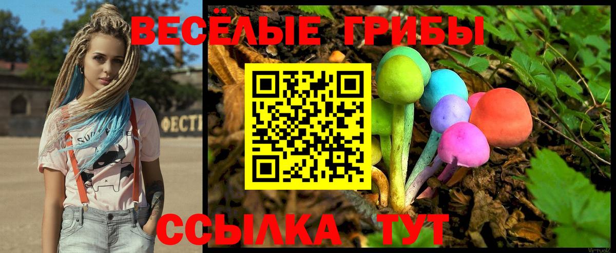 где можно купить   Псилоцибиновые грибы GOLDEN TEACHER  Вход с VPN  Новошахтинск 